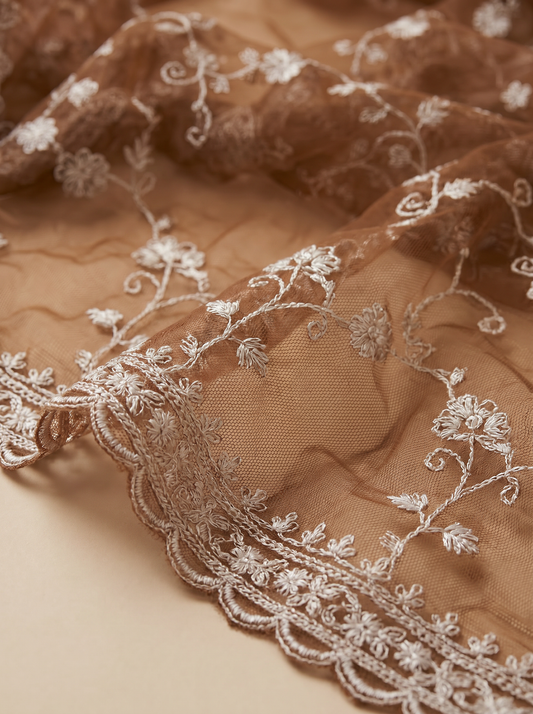 Chiku Celebrity Closet Bollywood Inspired Saree for Party Wear